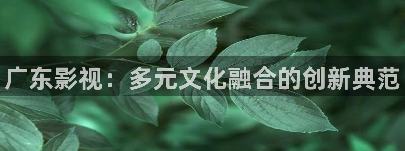 嫩草影院在线观看沈那那：广东影视：多元文化融合的创新典范