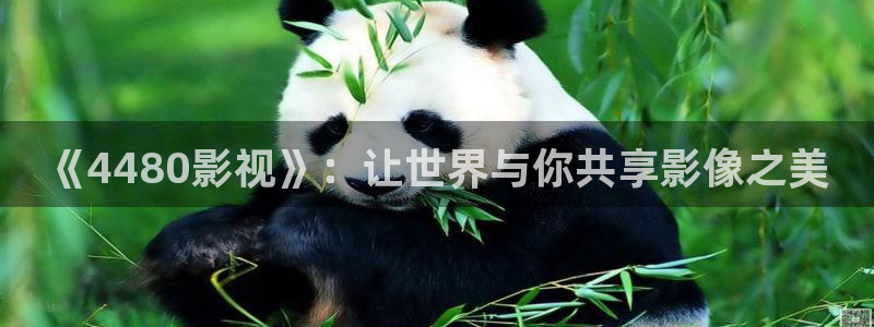 91嫩草影院在线观看